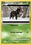 loup-bouvier