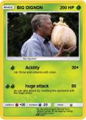 BIG OIGNON