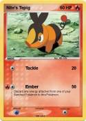 Nite's Tepig