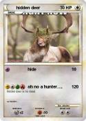 hidden deer