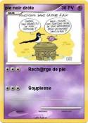 pie noir drôle
