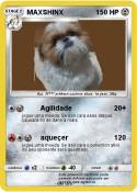 MAXSHINX