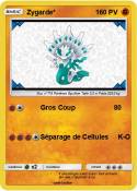 Zygarde*
