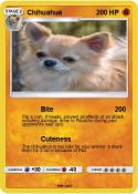 Chihuahua