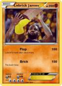Lebrick James