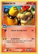 bowser niv 39