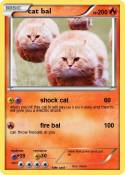 cat bal