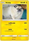 fat pug