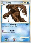 Mudkip