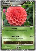 flower
