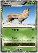 Llama