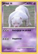 pit-bull $$