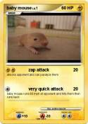 baby mouse
