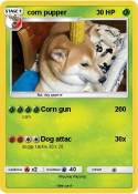 corn pupper
