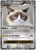 Grumpy Cat