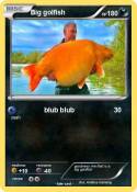 Big golfish