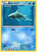 Reef Shark