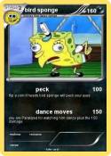bird sponge