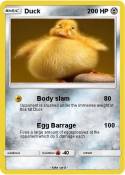 Duck