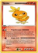 Torchic 9999999
