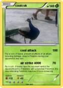 coolcok
