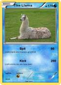 The Llama