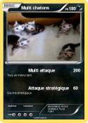 Multi chatons