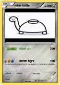mine turtle