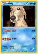 dawg