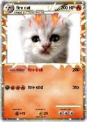 fire cat