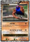 oiseau à biscot