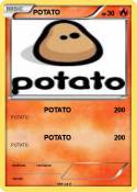 POTATO