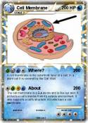 Cell Membrane