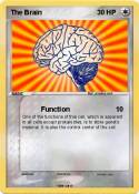 The Brain