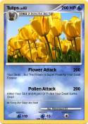 Tulips