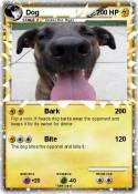 Dog