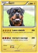 ROTT