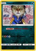 army cat