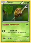Tarsier