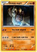 Grumpy dog!!!!