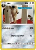 pug
