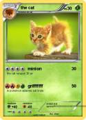 the cat