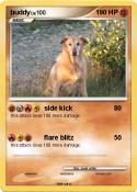 buddy