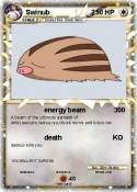 Swinub 2