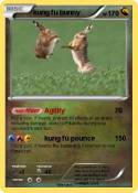 kung fu bunny
