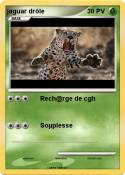 jaguar drôle