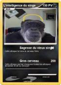 L’intelligence