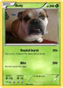 Budy