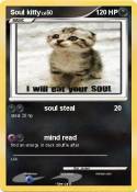 Soul kitty