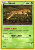 Cheetah